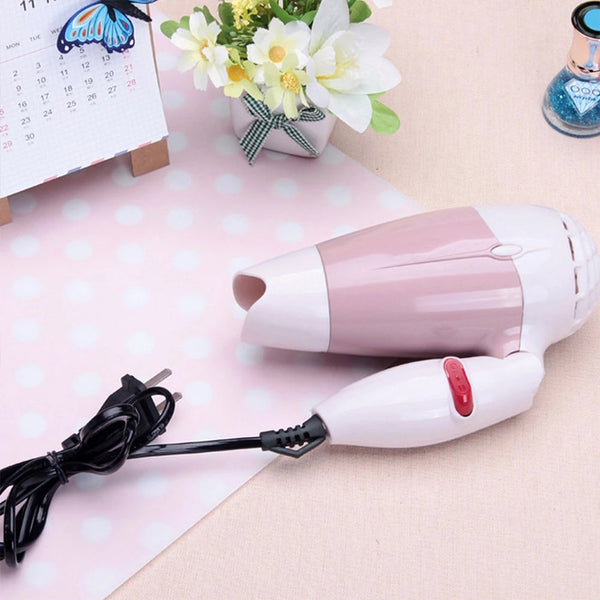 Electric Hair Dryer